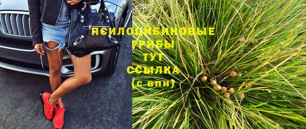 apvp Балахна
